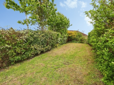 Picture 14